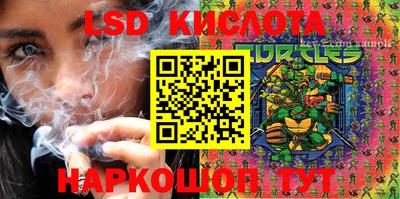 Альфа ПВП Ставрополь
