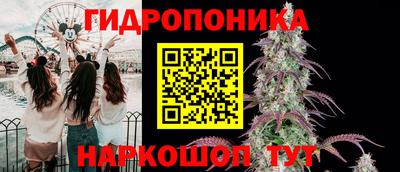 Альфа ПВП Ставрополь