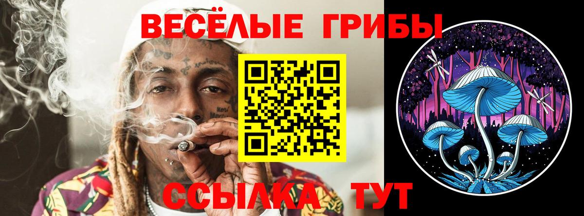 Псилоцибиновые грибы мицелий Новый Уренгой